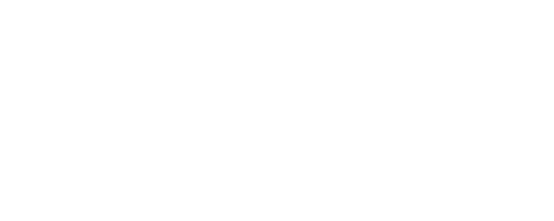 Sin Pasajeros
